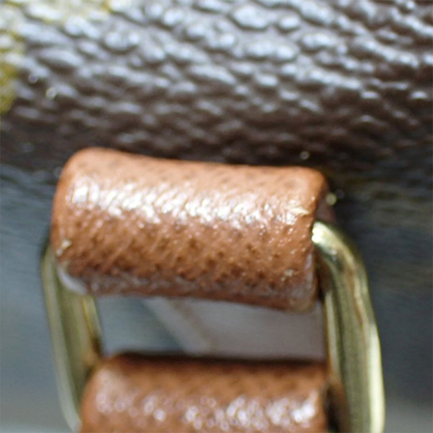 Sac Louis Vuitton Papillon