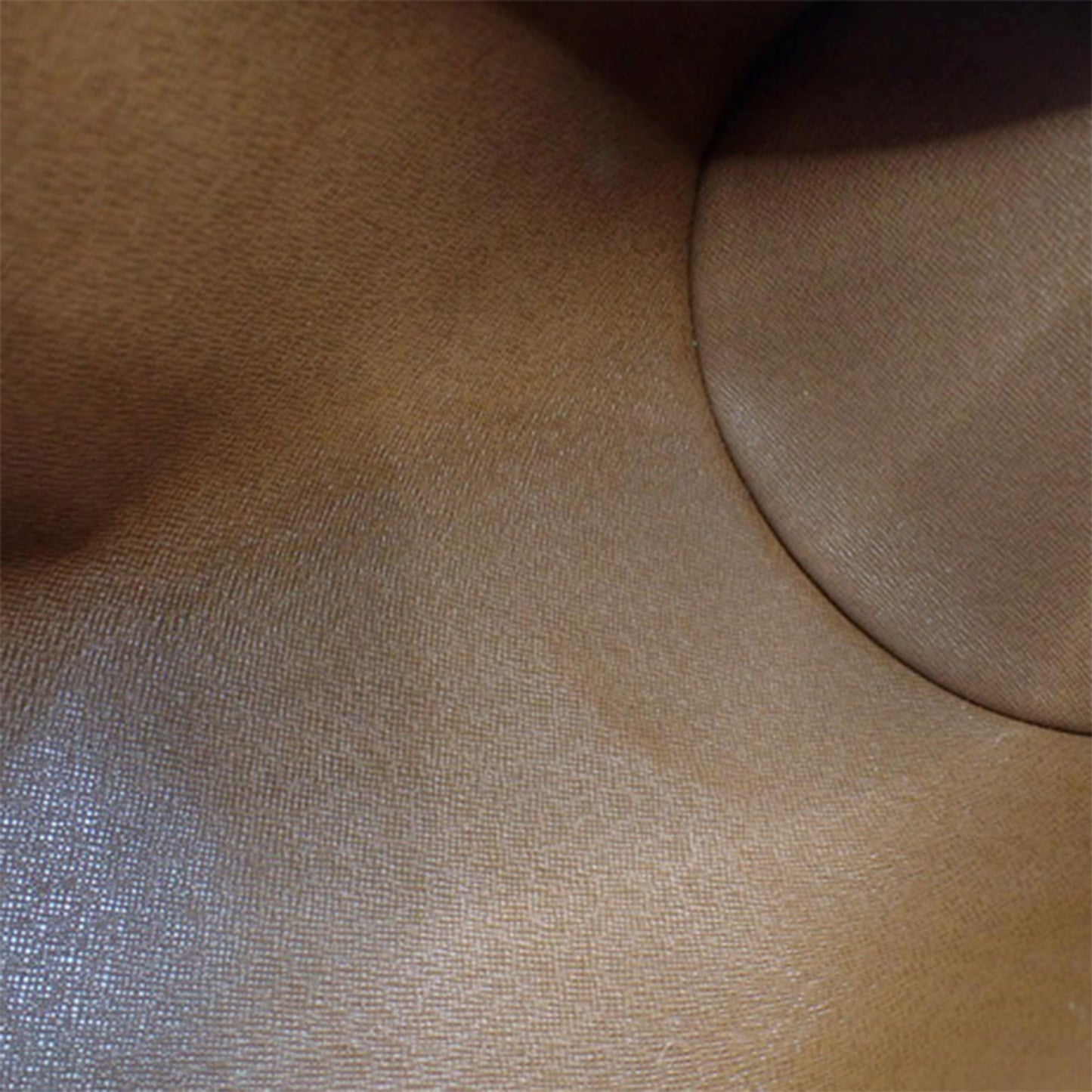 Sac Louis Vuitton Papillon
